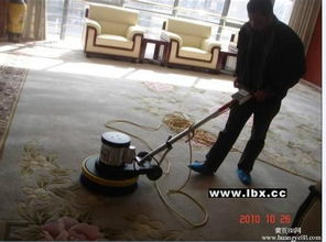长治县开荒保洁 家庭保洁 地毯清洗 擦玻璃,小时工
